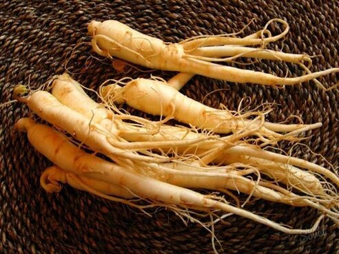 Ginseng root increases potency after 60 years of age