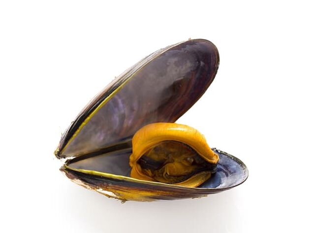Mussels improve sperm quality due to high zinc content