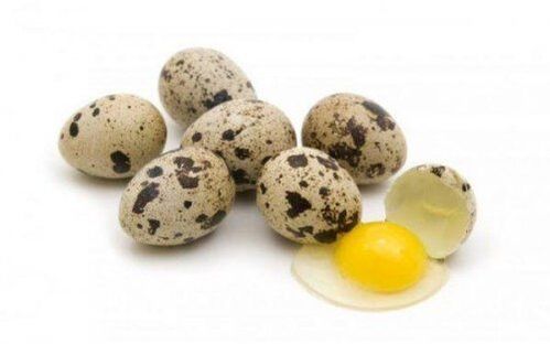 Quail eggs boost potency