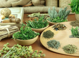 Herbs for the treatment of impotence